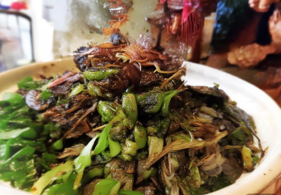 范子铭篮球成长之路：从青涩少年到璀璨明星的蜕变